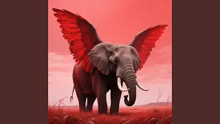 noite serena guarda nosso segredo