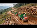 Lagu Use Truck to Transport 1000+ Tons Wood Over Dangerous Roads, Go To Sell for Wood Factory