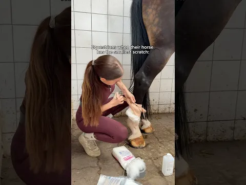 Don’t worry he’s fine 🐴🙋🏽‍♀️ #equestrian #horse