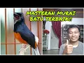 MASTERAN TERBAIK MURAI BATU DI TAHUN  2022 by RANAH KICAU CHANNEL