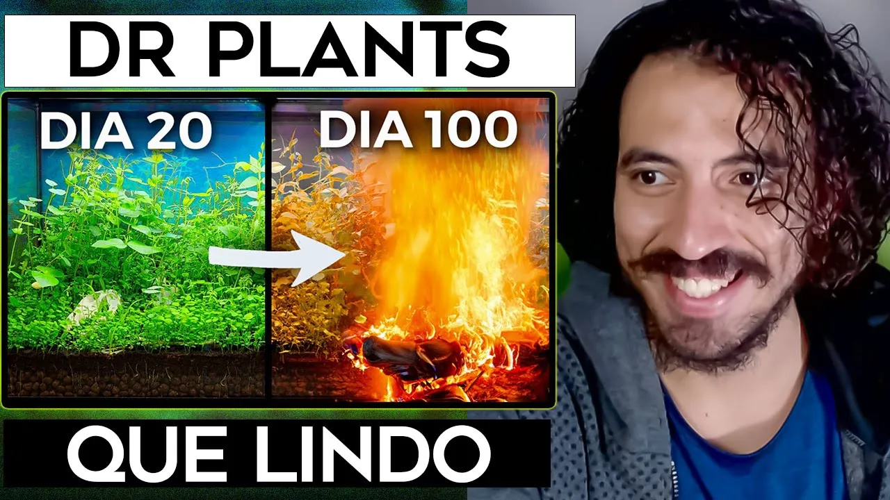 Há 100 Dias Construí um Ecossistema, e Então Isso Aconteceu - Dr Plants Brasil | Leozin React