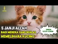 Download Lagu 5 JANJI ALLAH BAGI YANG SUKA PELIHARA KUCING, NOMER 5 ISTIMEWA SEKALI