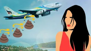  where the toilet falls from airplane facttechz hindi facts