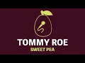 Download Lagu Tommy Roe - Sweet Pea (Karaoke)