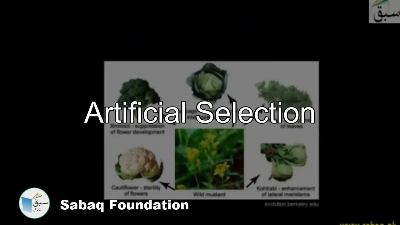 Artificial Selection, Biology Lecture | Sabaq.pk