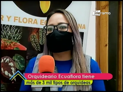 Orquideario Ecuaflora tiene más de 3 mil tipos de orquídeas