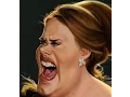 TOP 10 SHOW - Funny Adele Pics