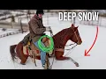 Moving Cattle Before a Blizzard Hits