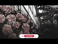 Download Lagu Metro Boomin  ft. Don Toliver - Around Me ( s l o w e d + r e v e r b e d )