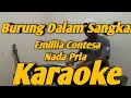 Download Lagu Burung Dalam Sangkar Karaoke KORG PA 700