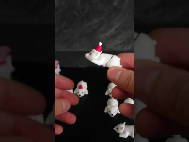Bonus Design - Tiny Polar Bear video thumbnail