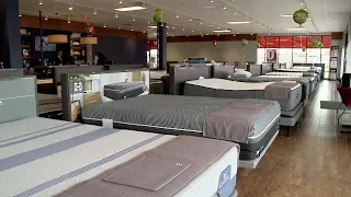 Levin Mattress