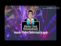 Download Lagu Dj Remix Lebih baik pelihara ayam Terpopular 2010-2020