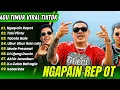 Download Lagu Lagu Timur Viral di TikTok | Ngapain Repot x Toki Pintu x Tabola Bale || musik populer 2025
