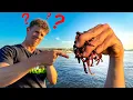 Download Lagu WELKE VISSEN VANG JE MET WORMEN OP DE RIVIER?!🤔