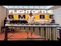 FLIGHT OF THE BUMBLEBEE | Marimba Solo