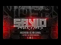 Alok - Alive (It Feels Like) - Remix - DJSavio Martins