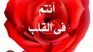 انتم في القلب دندنها