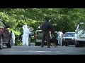 35 animals rescued from home in Scranton