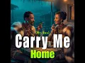 Carry Me Home (Afro House)