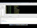STATA Basics 1