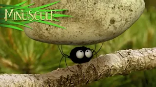 Minuscule Mini S Compilation 1 