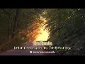 Download Lagu Untuk Cemburupun Aku Tak Berhak Lagi - Dian Piesesha