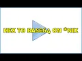 Hex to base64 on nix 2 Solutions