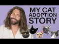 Download Lagu Meet My Cats Storytime + Everyday Curly Hair Care Tutorial