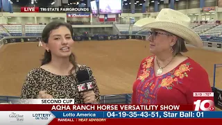What To Expect At The AQHA Ranch Horse Versatility Show 