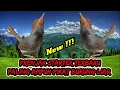 Download Lagu Suara pikat prenjak starter terbaru 2025 di jamin semua burung kecil liar kumpul anti zonk