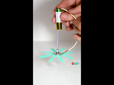 This Is What Happens When Electricity Meets A Magnet