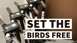 Converting A Bird Scooter into a Personal Scooter All the sauce HOW TO