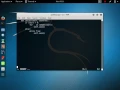 CODANDO SCRIPT DE SYN FLOOD