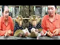 Download Lagu SokYaa Family's HEARTWARMING Bond with Their Human Moms INCREDIBLE!