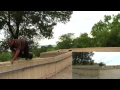 Elevated foot-hand crawl -