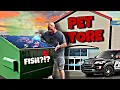 Rescuing Betta Fish From Dumpster