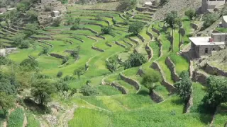 ايوب طارش اه يا عيوني دندنها