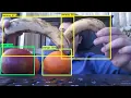 TensorFlow Object Detection API on Fruit Images