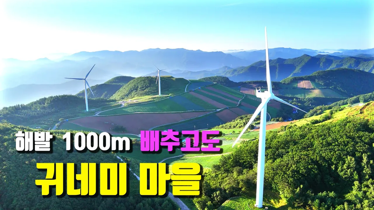 태백 배추고도 귀네미 마을 매빅에어3 드론영상~!! 해발 1.000m  SNS핫플 차박의 성지... サムネイル