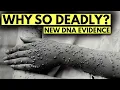Download Lagu Why Smallpox Killed So Many — New DNA Names the Cause