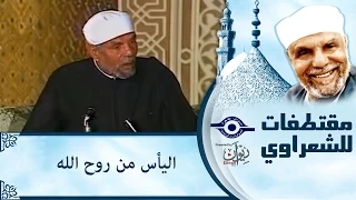 اليأس من روح الله دندنها