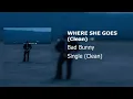 Bad Bunny  - WHERE SHE GOES (Clean Version)