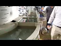 Neutral nickel NN-100 plating on zinc casting parts directly