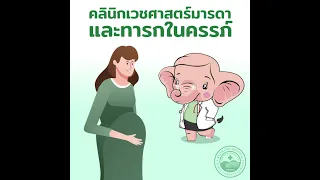 Motion Graphic คล น กเวชศาสตร มารดาและทารกในครรภ  Motion Graphic คล น กเวชศาสตร มารดาและทารกในครรภ