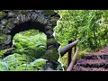 Download Lagu Sendero Cubo de la Galga (La Palma)