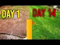 Watering new grass seed day 1 7 14 - 4 Week Time Lapse