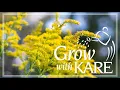 Grow with KARE Goldenrod