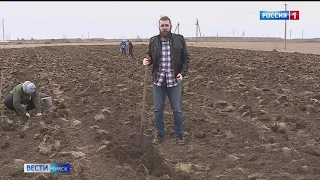 В деревне Сосновка волонтеры провели экологическую акцию