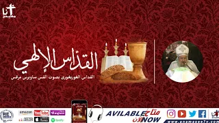 القداس الغريغوري بصوت القمص ساويرس مرقس  القداس الغريغوري بصوت القمص ساويرس مرقس